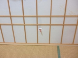 貼り替え前2