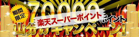 rakuten022.jpg