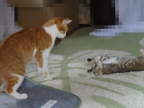 DSC02119.jpg