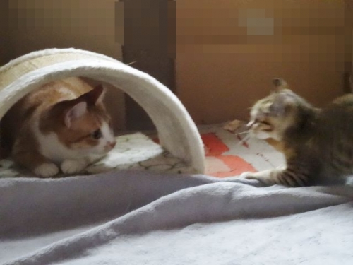 DSC02129.jpg