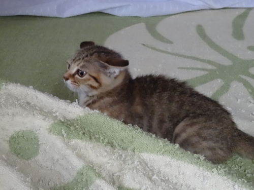 DSC02136.jpg
