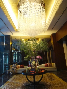 DSC02510.jpg