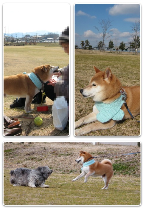 石川河川公園