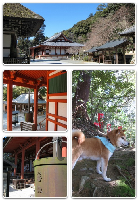 観心寺