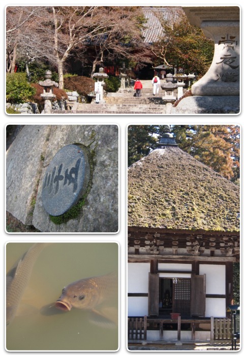 観心寺