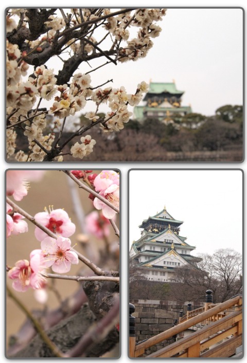 大阪城公園