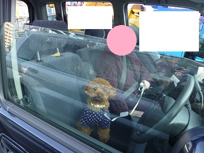 おかんとリンク車