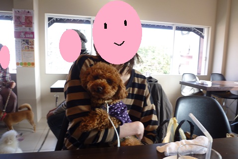 ワンパーク私と1