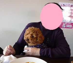ワンパーク母と3