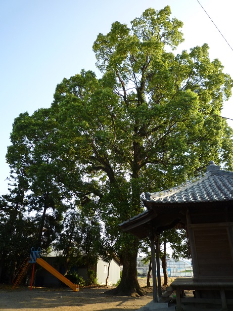 2014-9-29③