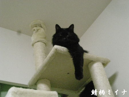 DSCN3413.jpg