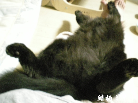 DSCN3422.jpg
