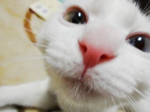 120417_003.jpg