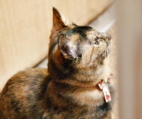 20120209_07.jpg