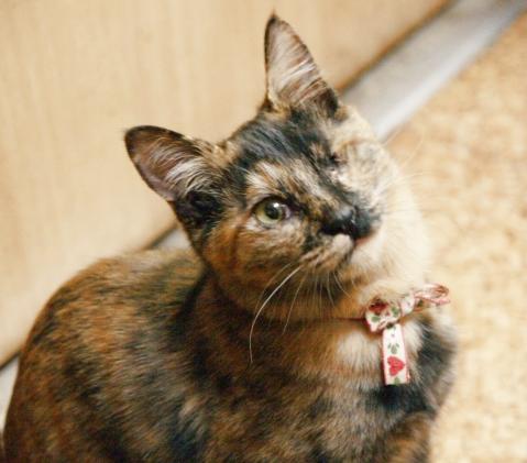 20120209_09.jpg