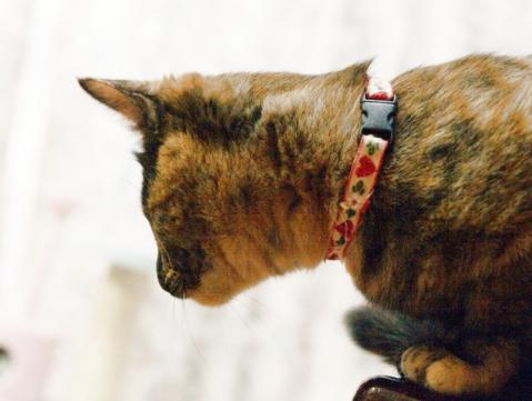 20120209_16.jpg