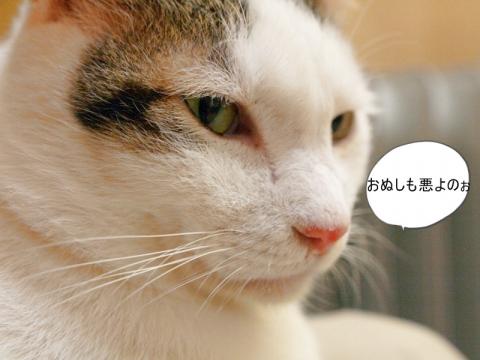 20120220_03.jpg