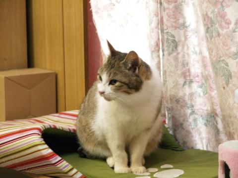 20120220_08_01.jpg