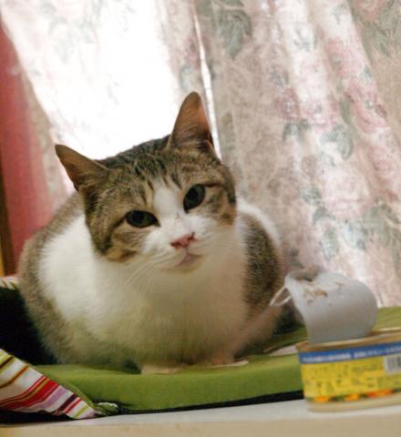 20120220_09.jpg