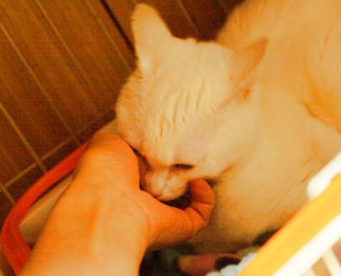 20120315_02.jpg