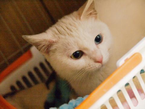20120315_16.jpg