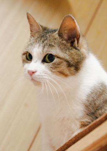 20120317_04.jpg