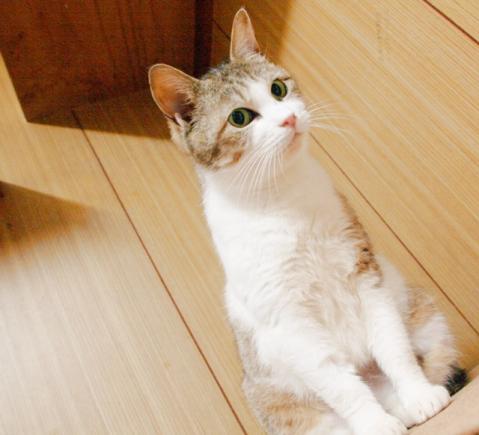 20120317_11.jpg