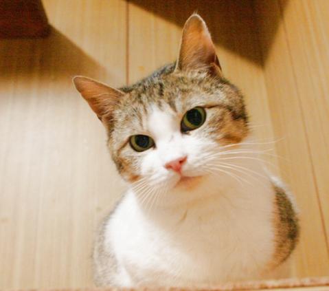 20120317_12.jpg