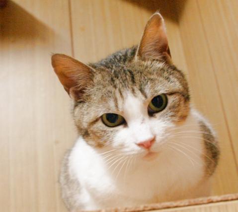 20120317_13.jpg