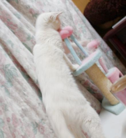20120317_14.jpg