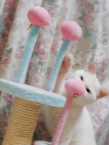 20120317_17.jpg