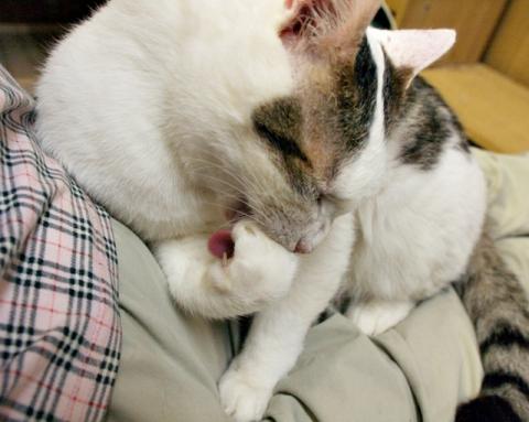 20120501_39.jpg