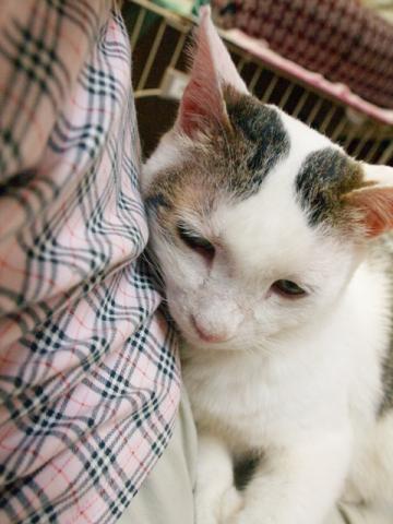 20120501_45.jpg