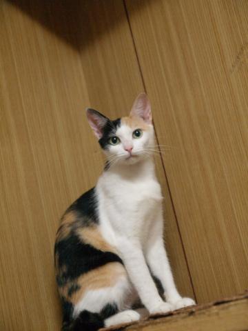 20120815_16.jpg