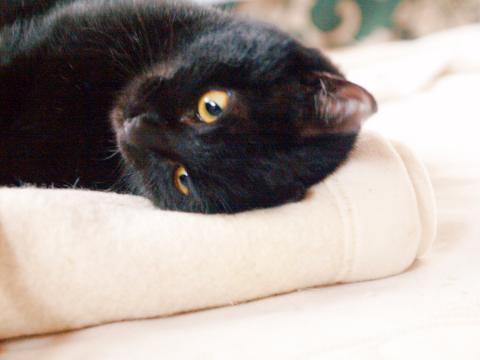 20130126_02_03.jpg