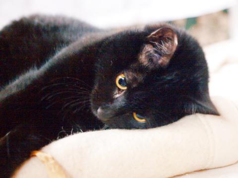 20130126_03.jpg