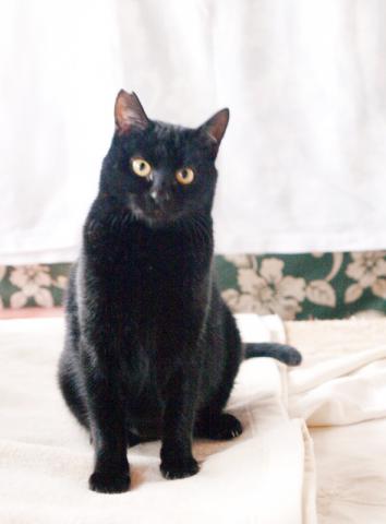 20130126_06.jpg