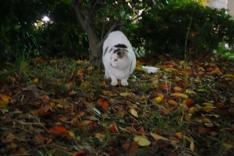 20131109_02_20140206165530d16.jpg