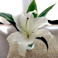 2013-12-20.jpg