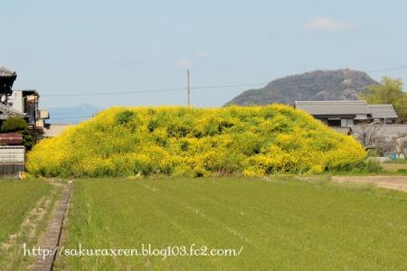 2013040801.jpg
