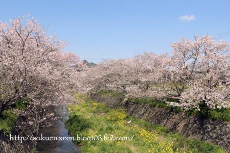 2013040802.jpg