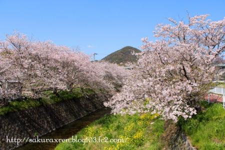 2013040803.jpg