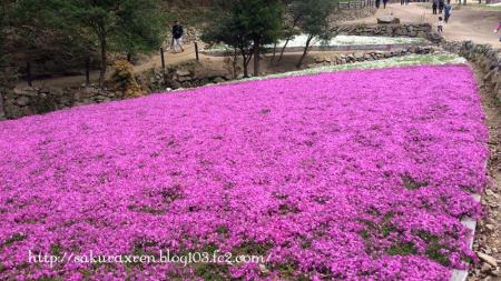 2013042105.jpg