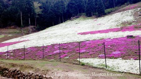 2013042106.jpg