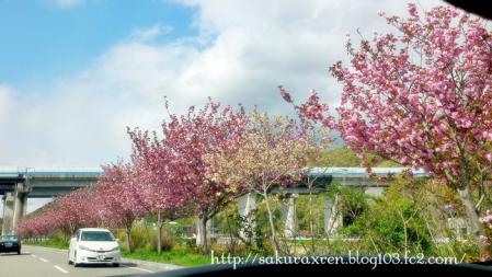 2013042111.jpg