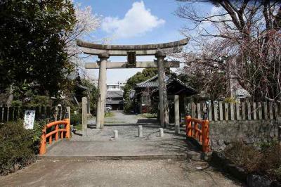 常葉神社鳥居