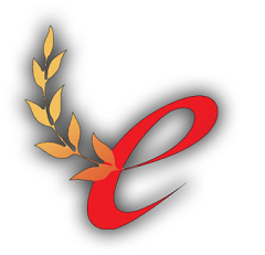 ief_2.png
