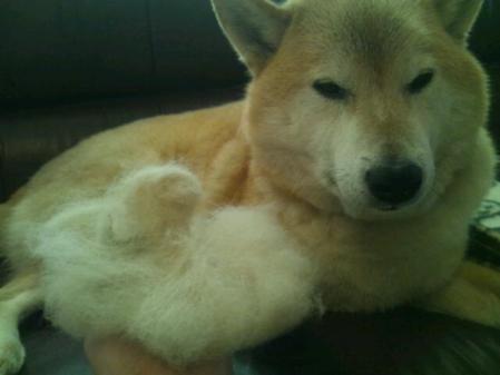 20130308_124740.jpg