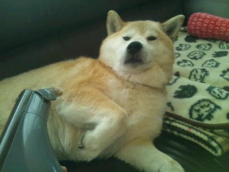20130308_124811.jpg