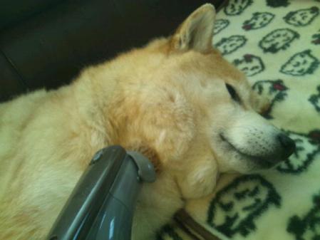 20130308_124914.jpg
